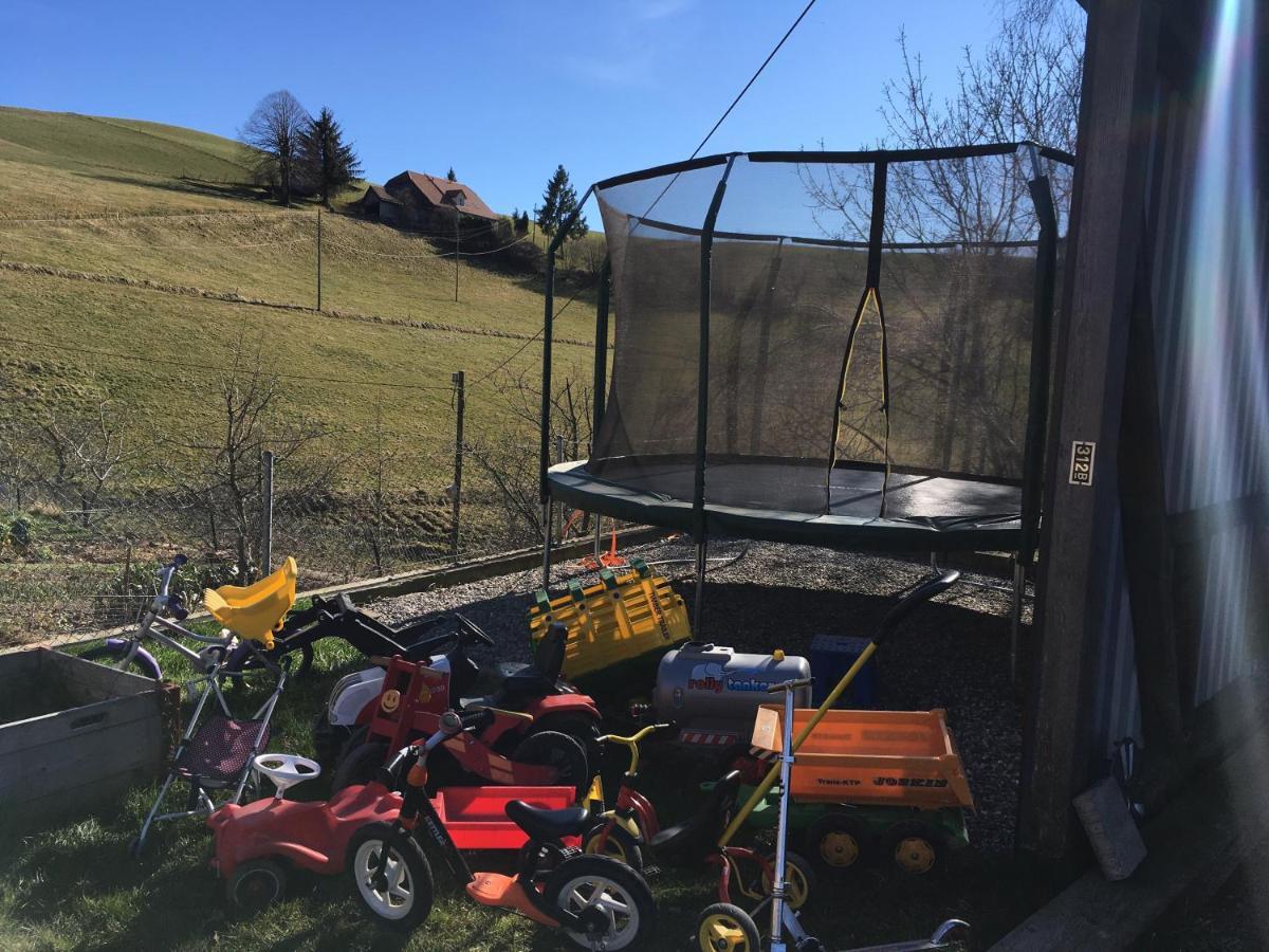 3,5 Zimmerferienwohnung Schwalbenaescht Rueeggisberg Kültér fotó